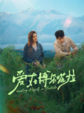 爱在博尔塔拉海报